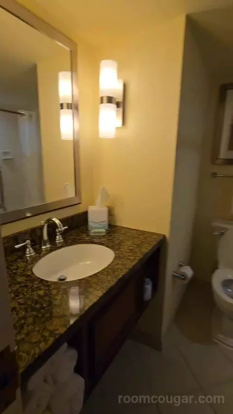 Two Queen Junior Suite, Sofa Bed, Balcony (#220) bathroom picture #1