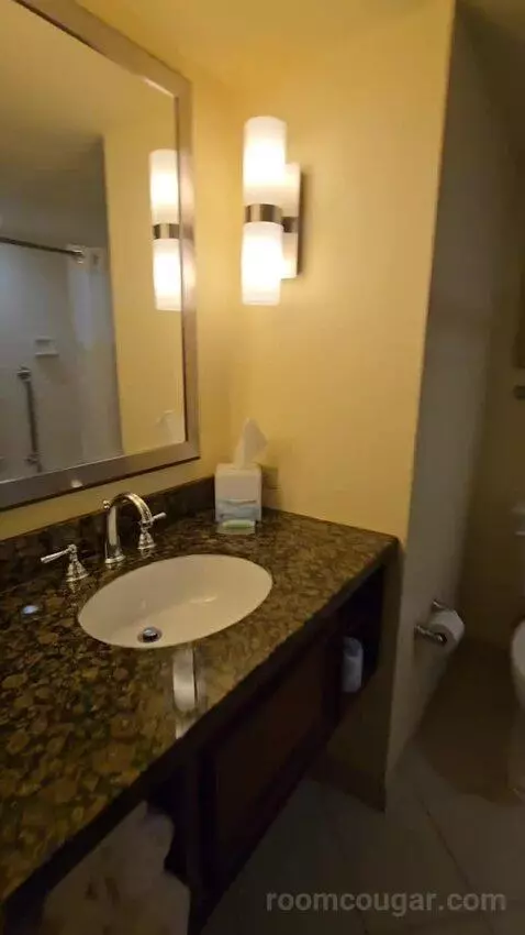 Two Queen Junior Suite, Sofa Bed, Balcony (#220) bathroom picture #2