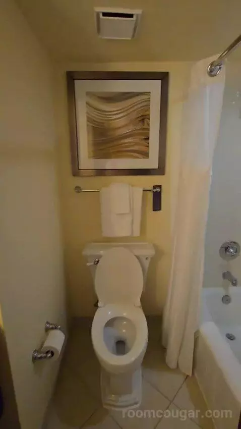 Two Queen Junior Suite, Sofa Bed, Balcony (#220) bathroom picture #4