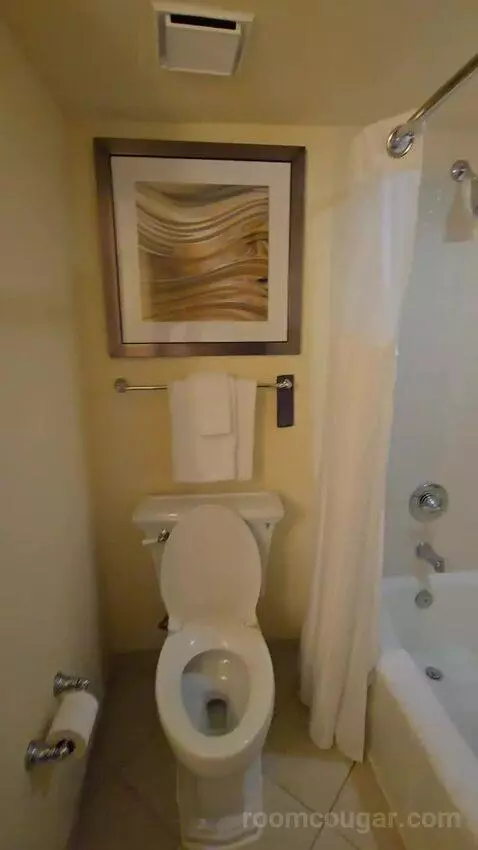 Two Queen Junior Suite, Sofa Bed, Balcony (#220) bathroom picture #5