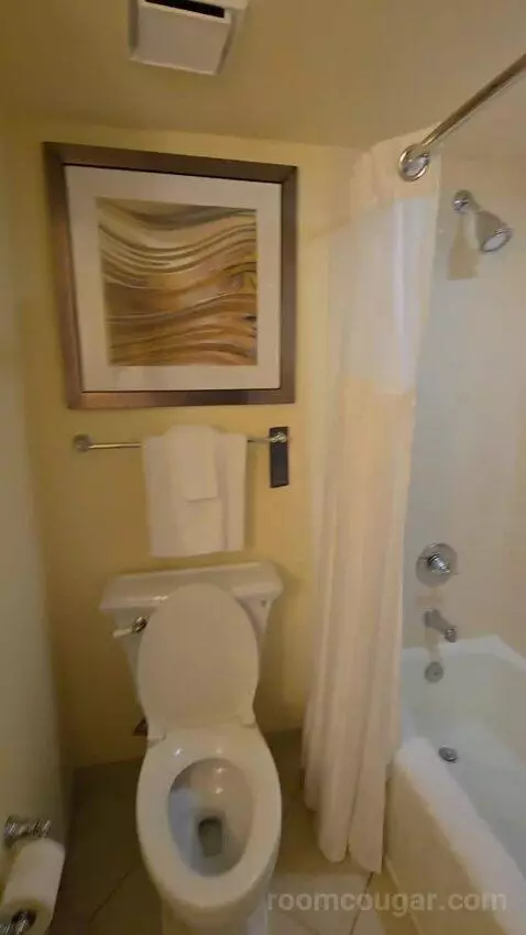 Two Queen Junior Suite, Sofa Bed, Balcony (#220) bathroom picture #6