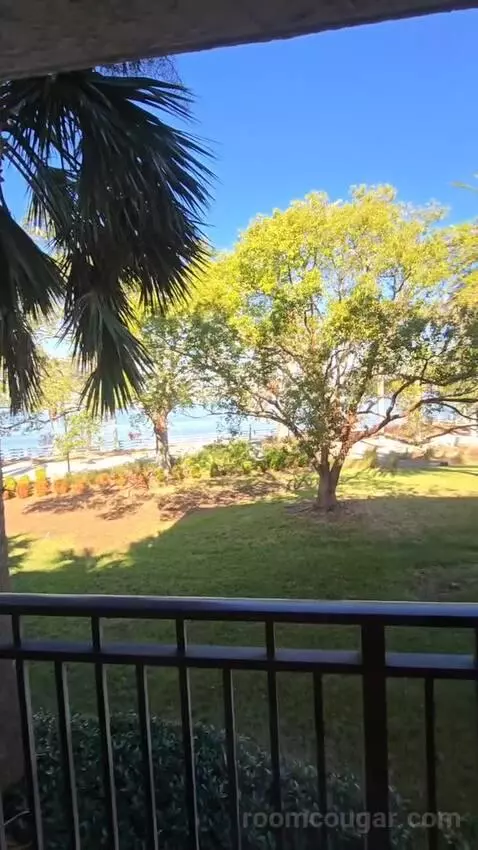 One King and Sofa Bed, River View (#228) view picture #3