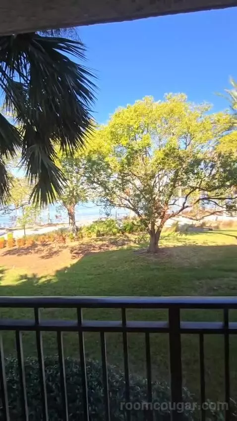 One King and Sofa Bed, River View (#228) view picture #4