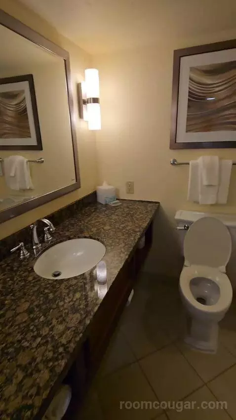 One King and Sofa Bed, River View (#228) bathroom picture #4
