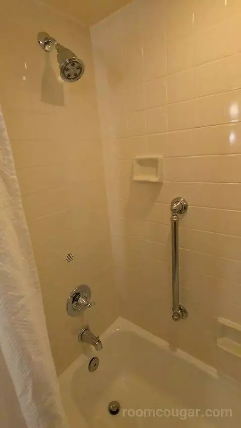 One King and Sofa Bed, River View (#228) bathroom picture #6