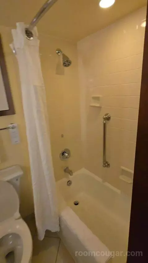 One King and Sofa Bed, River View (#228) bathroom picture #7