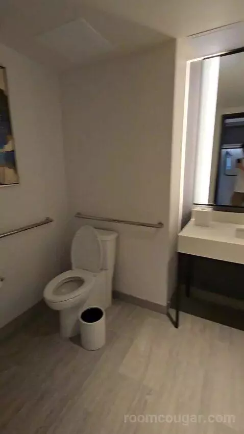 Queen Room with Two Queen Beds and Pool View, Accessible (#435) bathroom picture #2