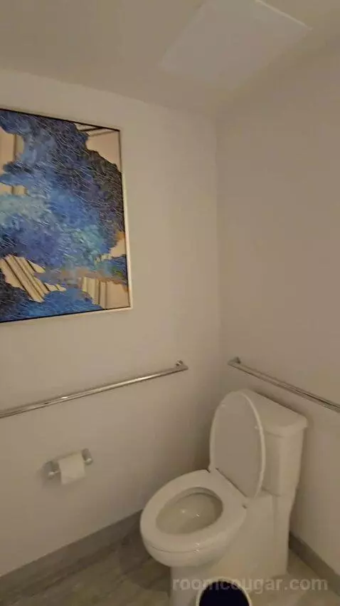 Queen Room with Two Queen Beds and Pool View, Accessible (#435) bathroom picture #3
