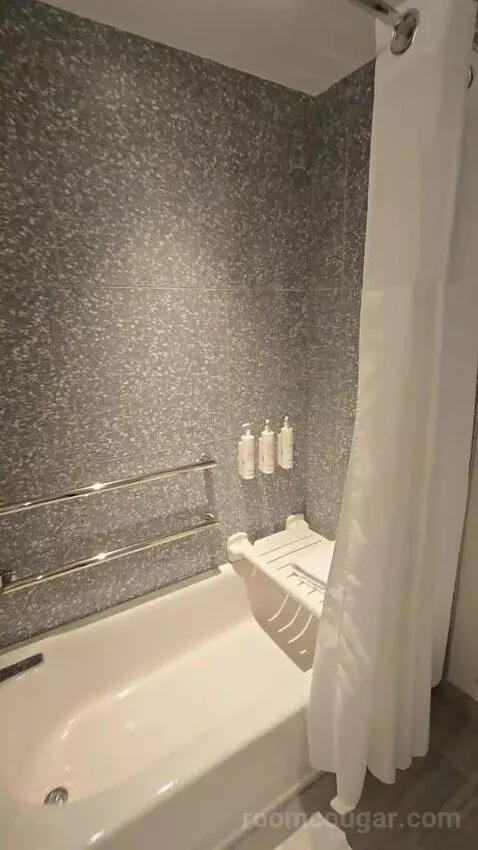 Queen Room with Two Queen Beds and Pool View, Accessible (#435) bathroom picture #7