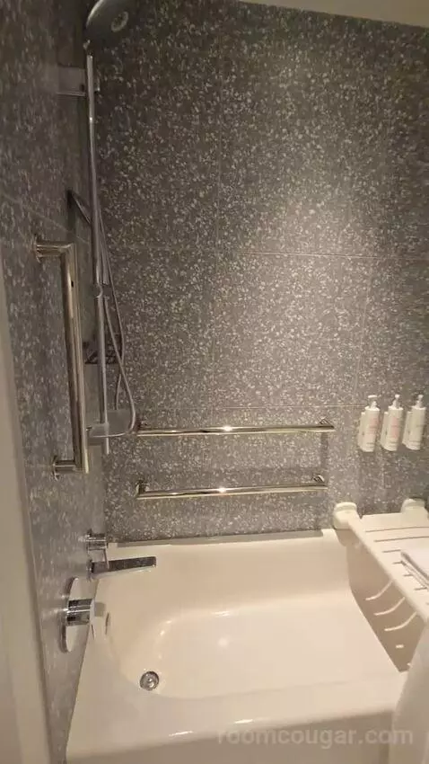 Queen Room with Two Queen Beds and Pool View, Accessible (#435) bathroom picture #12