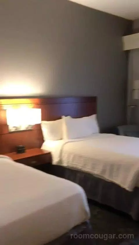 Accessible, Guest Room, 2 Double (#100) bed picture #4