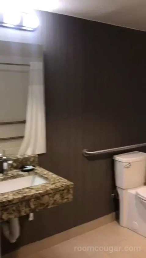 Accessible, Guest Room, 2 Double (#100) bathroom picture #2