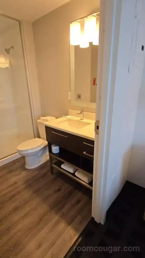 King Studio with Sofa Bed (#106) bathroom picture #3