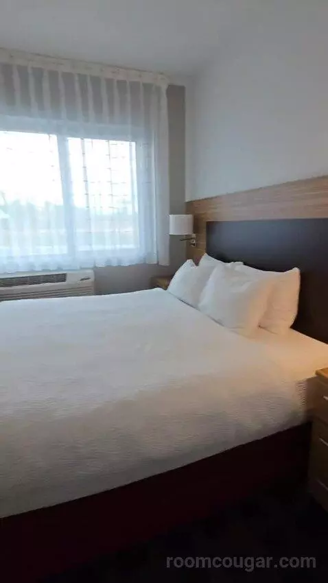 One-Bedroom Queen Suite with Sofa Bed, Mobility and Hearing Accessible Tub (#103) bed picture #7