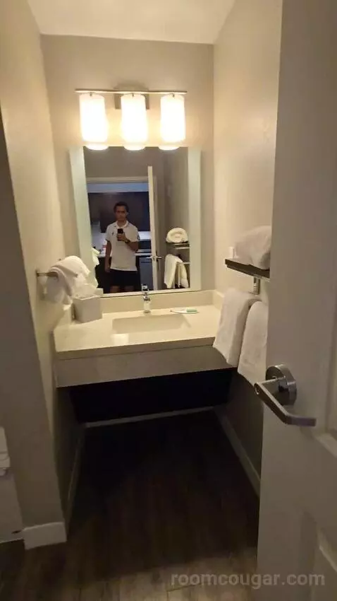 One-Bedroom Queen Suite with Sofa Bed, Mobility and Hearing Accessible Tub (#103) bathroom picture #2