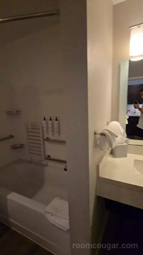 One-Bedroom Queen Suite with Sofa Bed, Mobility and Hearing Accessible Tub (#103) bathroom picture #3