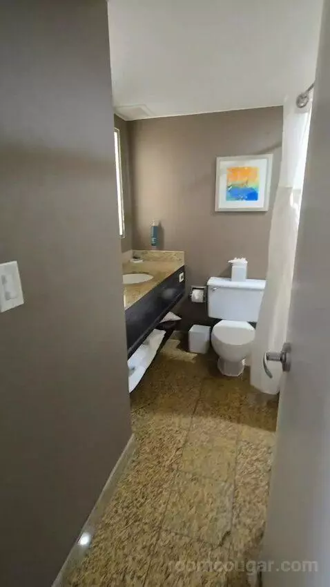 King Studio Suite (#925) bathroom picture #1