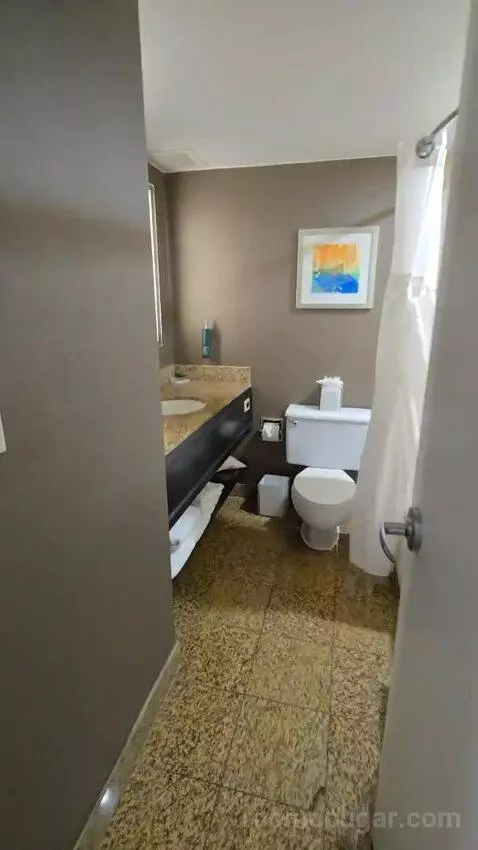 King Studio Suite (#925) bathroom picture #2