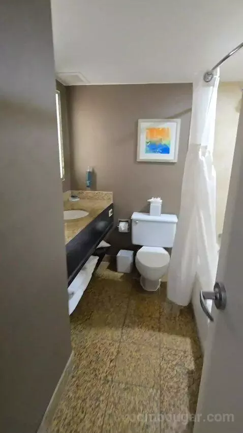 King Studio Suite (#925) bathroom picture #4