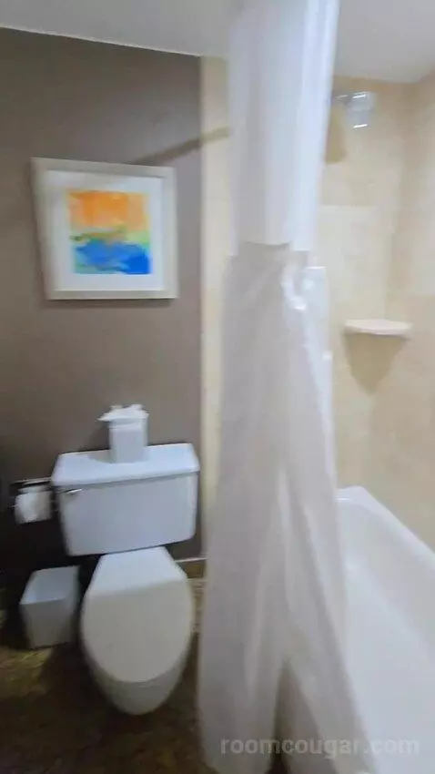 King Studio Suite (#925) bathroom picture #5