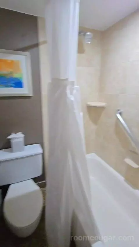 King Studio Suite (#925) bathroom picture #6