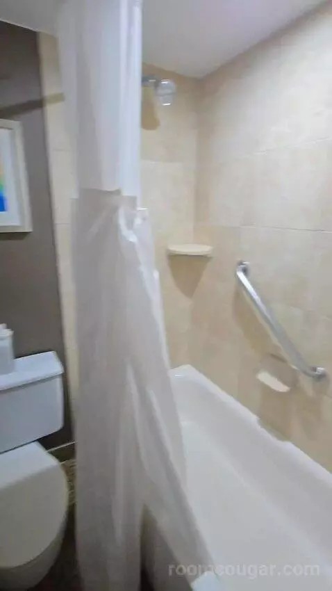 King Studio Suite (#925) bathroom picture #7