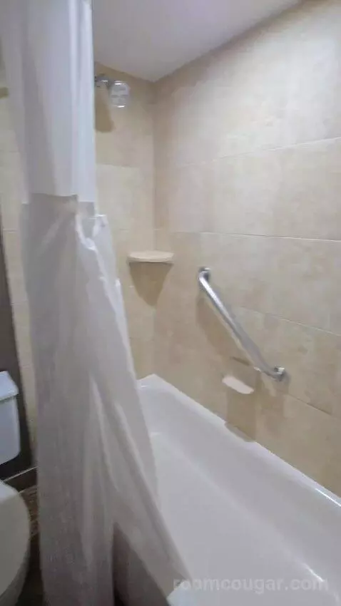 King Studio Suite (#925) bathroom picture #8