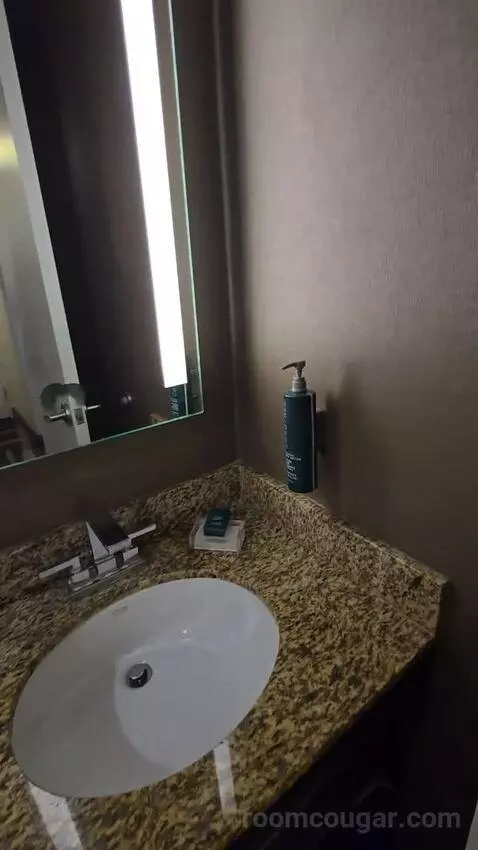 Deluxe Room with Two Double Beds - High Floor (#924) bathroom picture #9