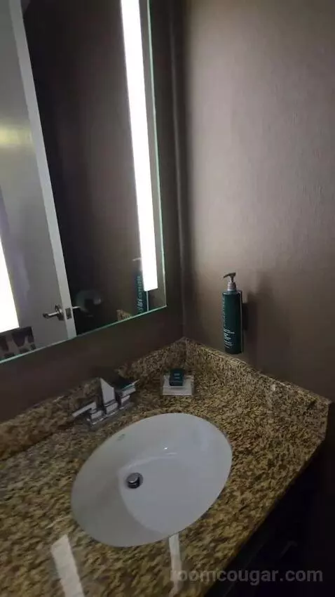 Deluxe Room with Two Double Beds - High Floor (#924) bathroom picture #12