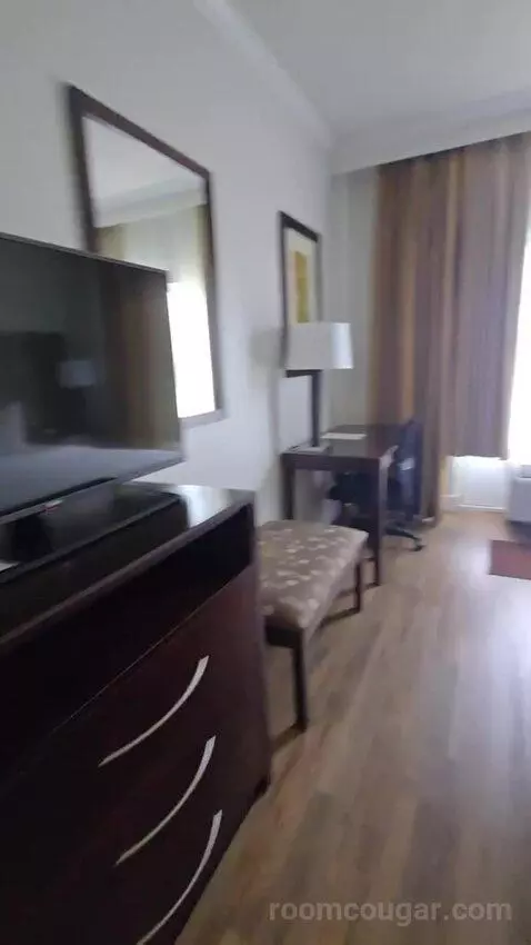 King Suite with Sofa Bed (#116) bed picture #3
