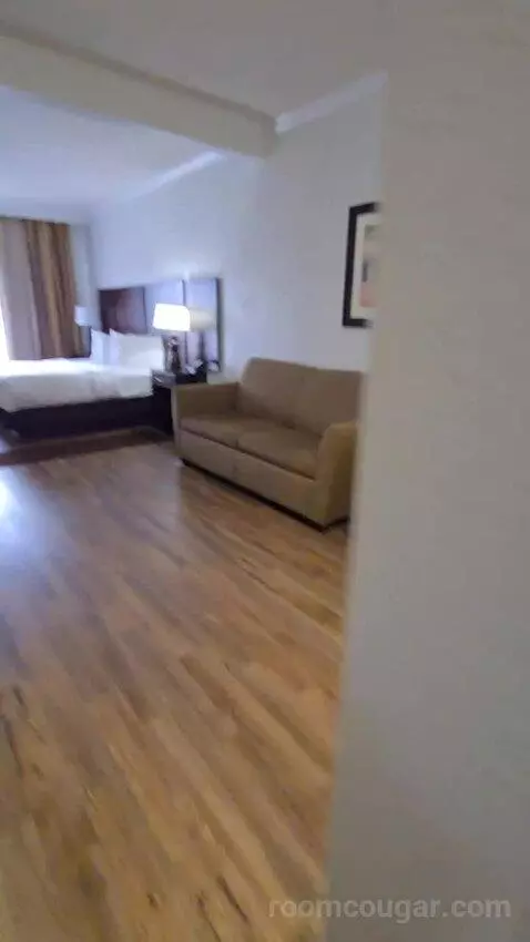 King Suite with Sofa Bed (#116) bed picture #1