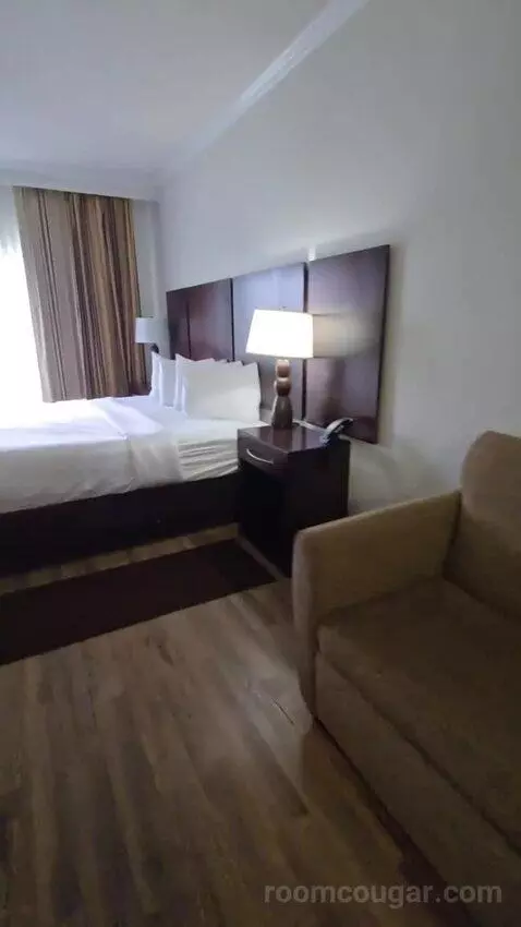 King Suite with Sofa Bed (#116) bed picture #2