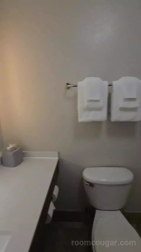 Queen Room with Two Queen Beds (#118) bathroom picture #4