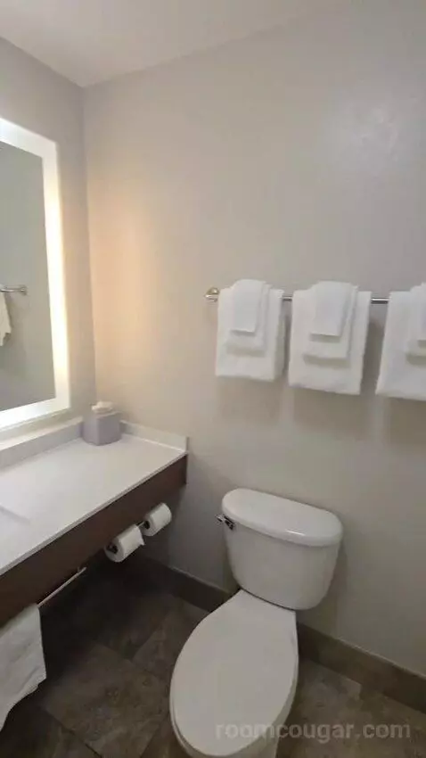 Queen Room with Two Queen Beds (#118) bathroom picture #7