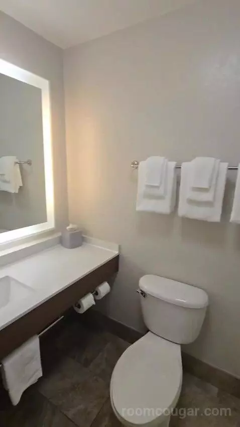 Queen Room with Two Queen Beds (#118) bathroom picture #8