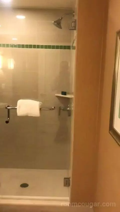 King Room (#704) bathroom picture #6