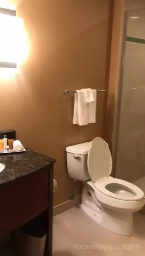 King Room (#704) bathroom picture #7