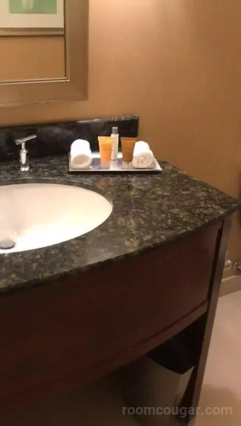 King Room (#704) bathroom picture #9