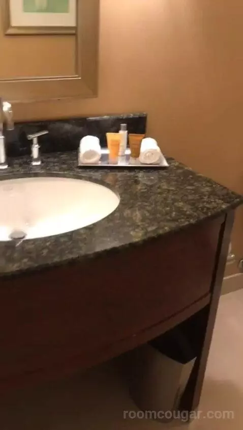King Room (#704) bathroom picture #10