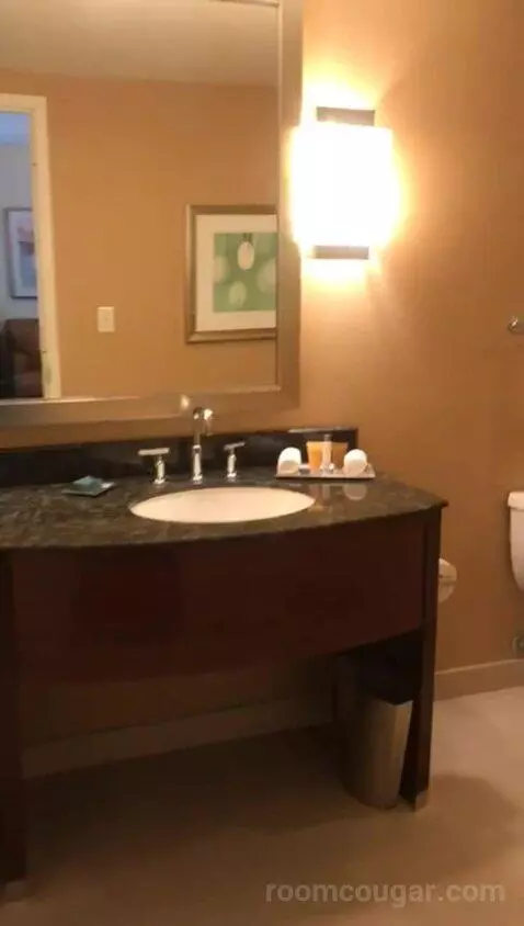 King Room (#704) bathroom picture #2