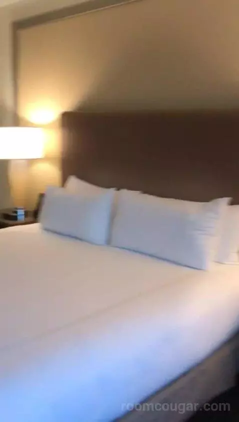 One Bedroom King Suite (#757) bed picture #8