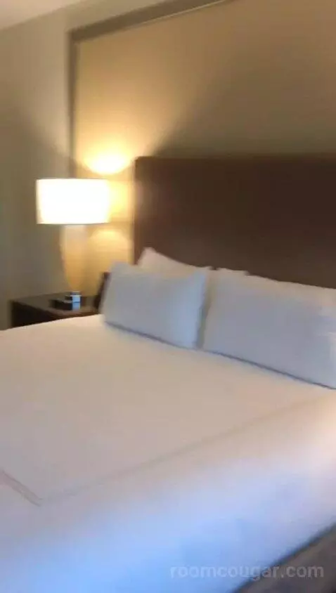 One Bedroom King Suite (#757) bed picture #9