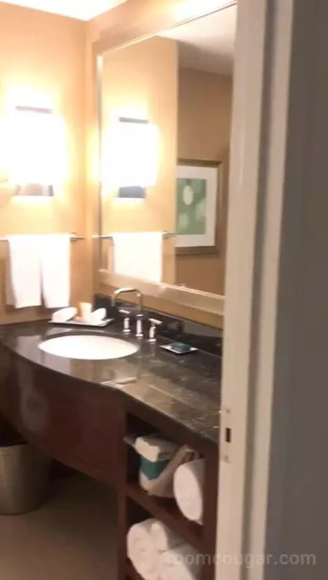 One Bedroom King Suite (#757) bathroom picture #3