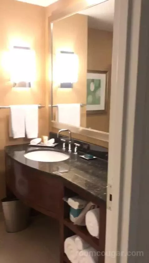 One Bedroom King Suite (#757) bathroom picture #4