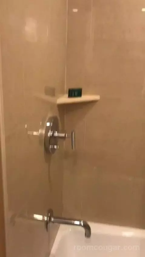 One Bedroom King Suite (#757) bathroom picture #8
