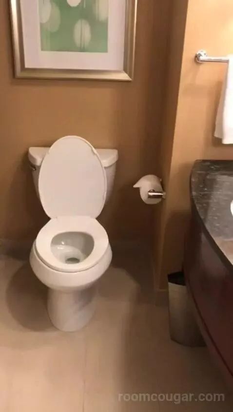 One Bedroom King Suite (#757) bathroom picture #9