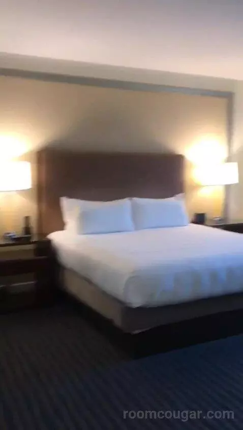 One Bedroom King Suite (#757) bed picture #3