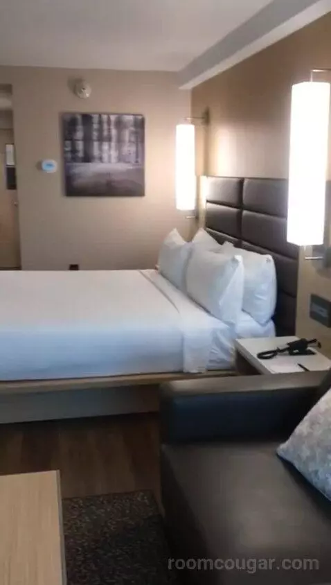 King Room with Sofa Bed and City View (#407) bed picture #6