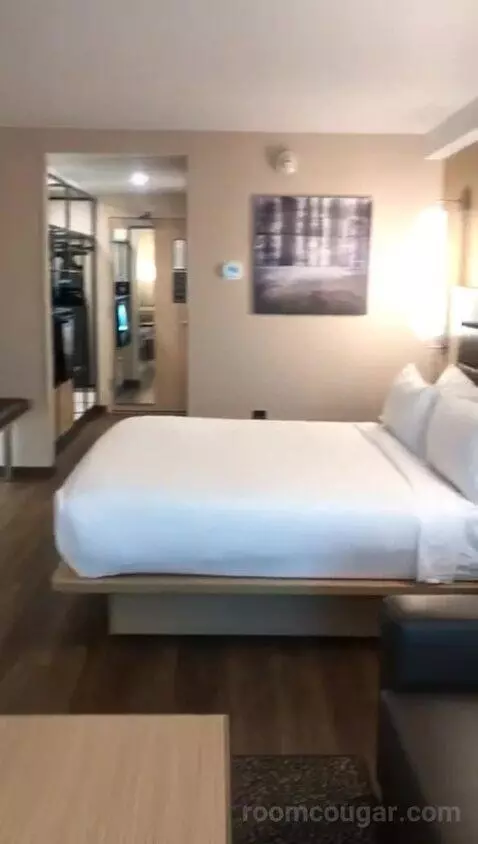 King Room with Sofa Bed and City View (#407) bed picture #8