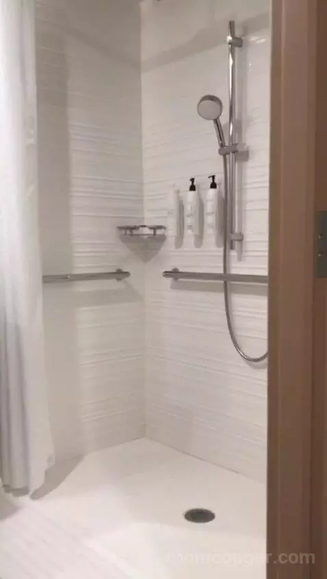 2 Queen Room with City View, Roll-In Shower ADA (#212) bathroom picture #4